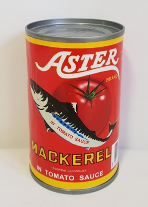 Picture of ASTER MACKEREL 155GR